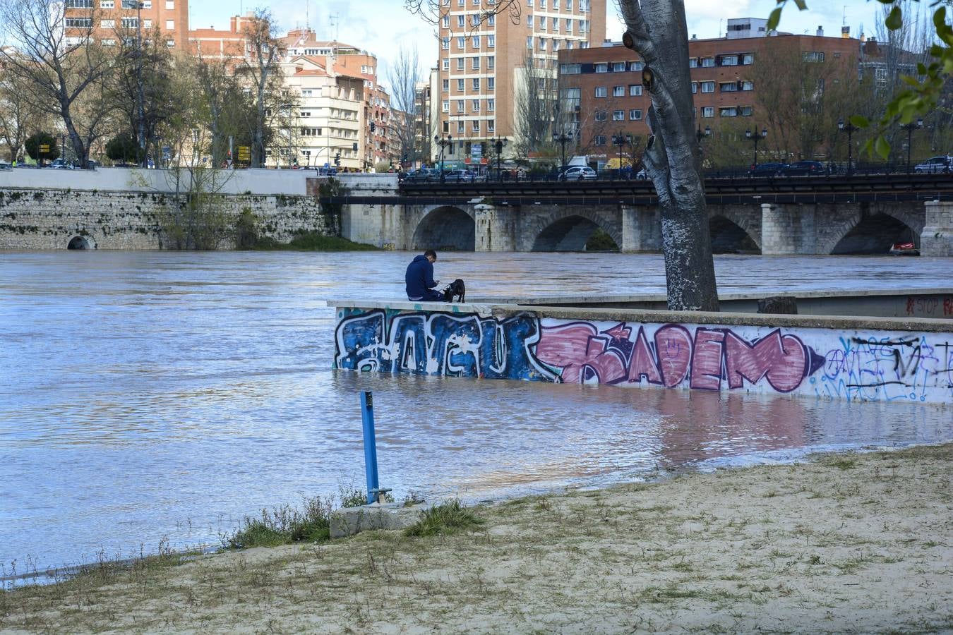 Crecida del Pisuerga a su paso por Valladolid (2/2)