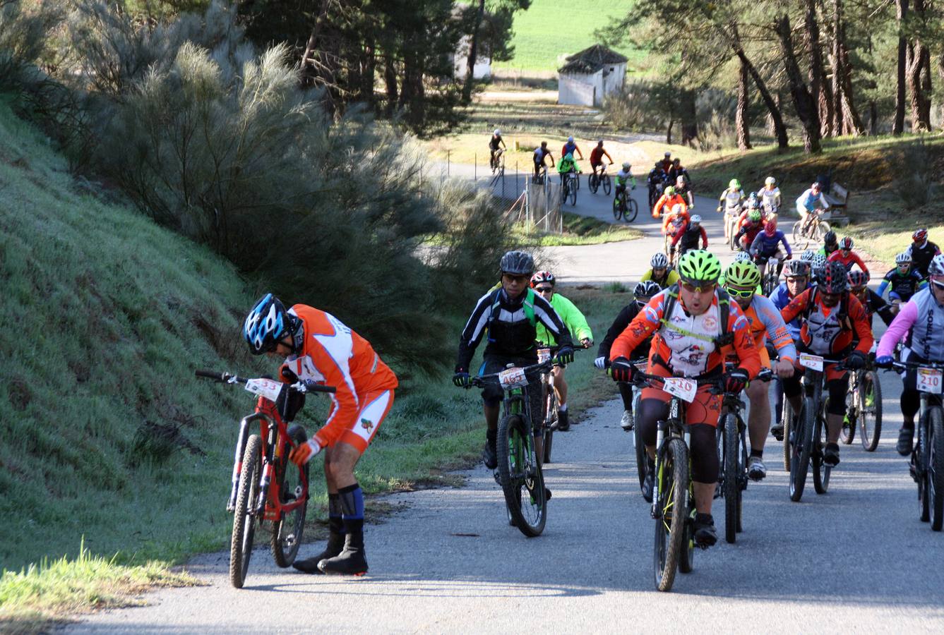 Octava edición de la marcha cicloturista Navabike