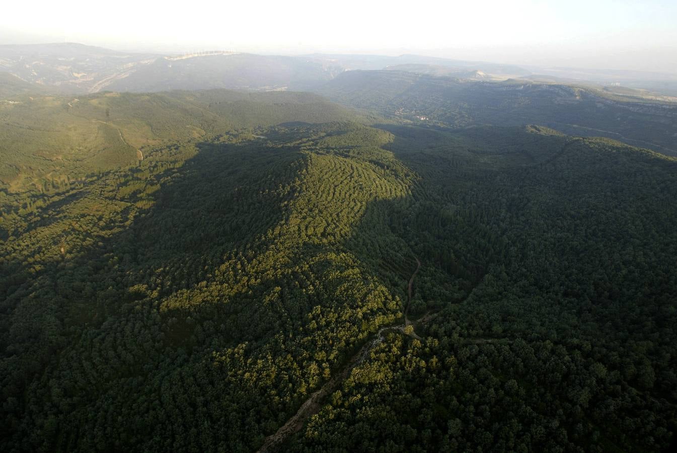 Valle de Manzanedo.