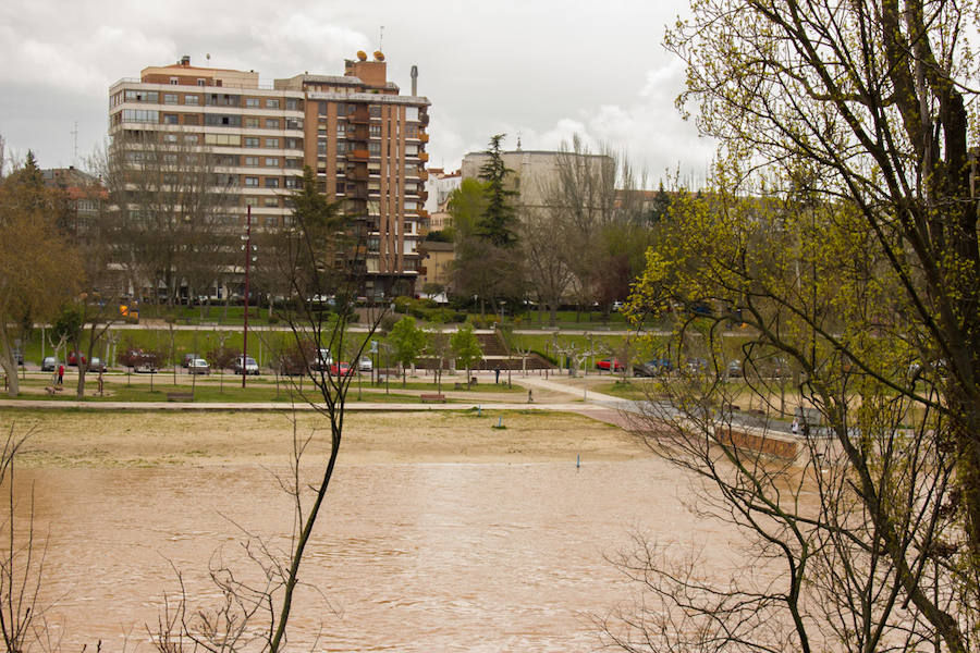 Crecida de los ríos Pisuerga y Esgueva en Valladolid