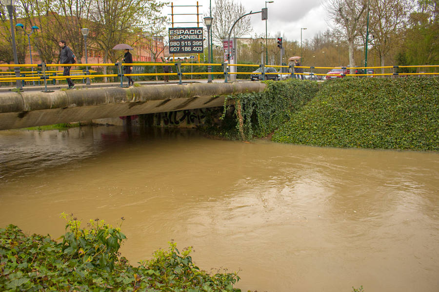 Crecida de los ríos Pisuerga y Esgueva en Valladolid