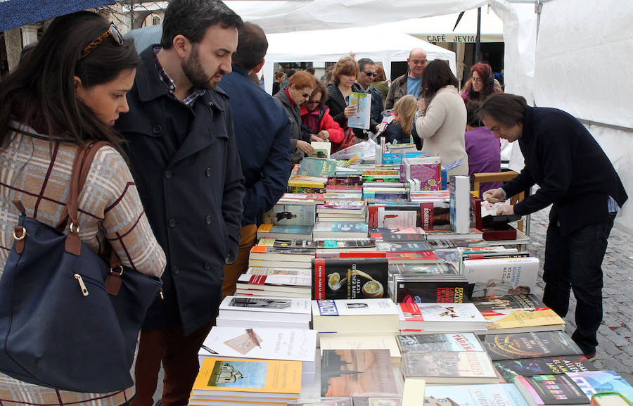 Día del Libro en Segovia