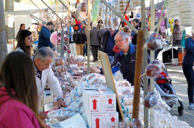 Romería de San Marcos en Palencia (1/2)