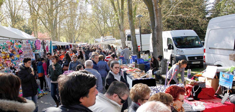 Romería de San Marcos en Palencia (1/2)