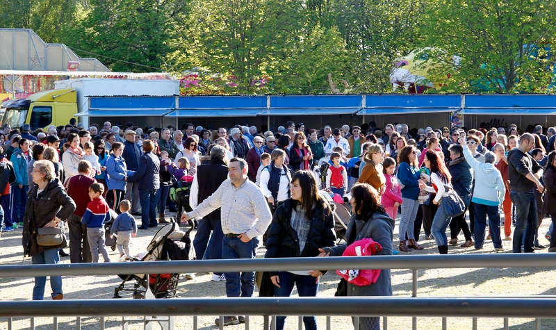 Romería de San Marcos en Palencia (1/2)