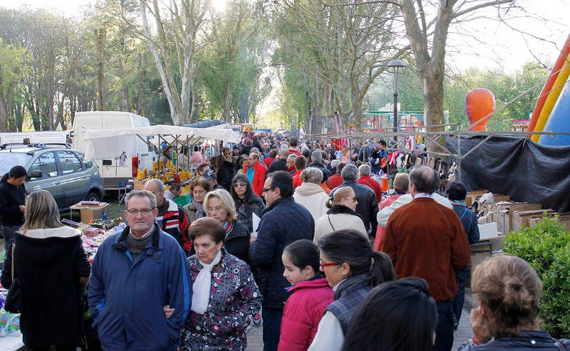 Romería de San Marcos en Palencia (2/2)