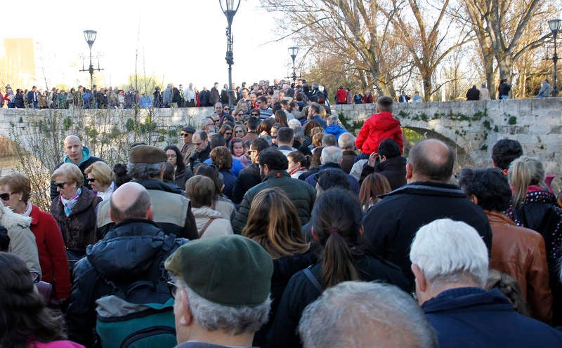 Romería de San Marcos en Palencia (2/2)