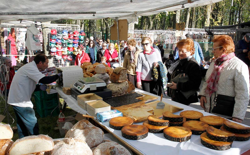 Romería de San Marcos en Palencia (2/2)