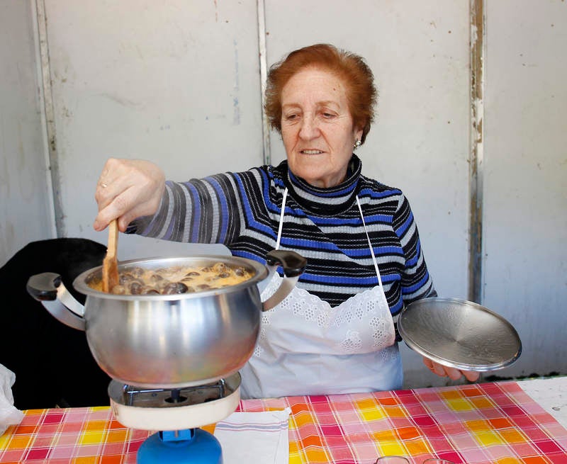 Romería de San Marcos en Palencia (2/2)