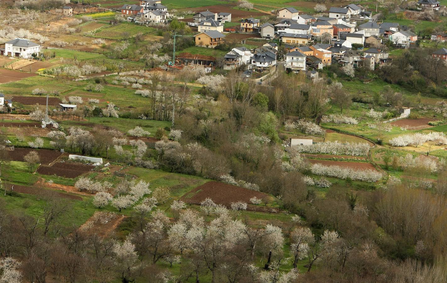 Explosión de color en el Jerte berciano