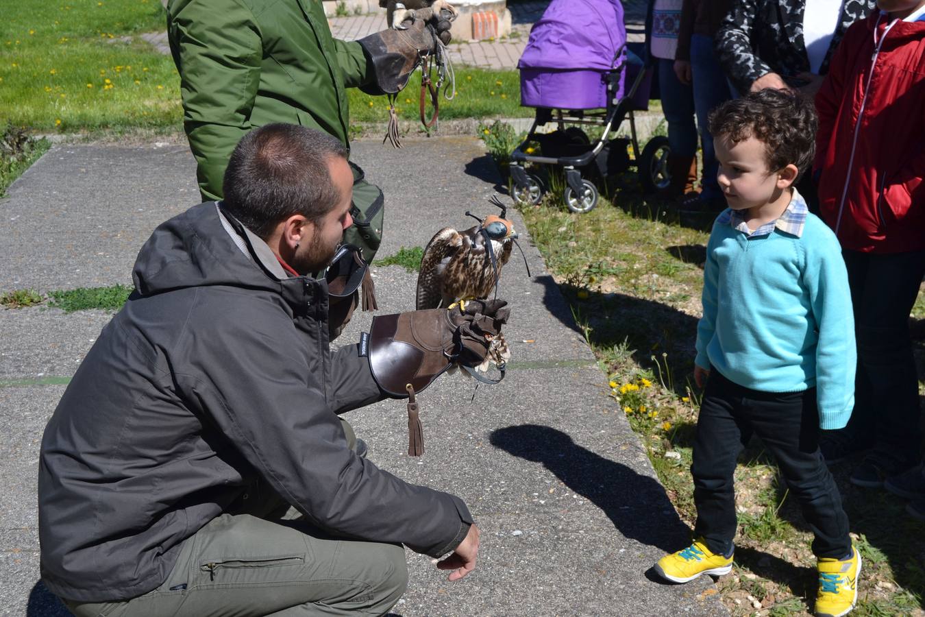 X Feria Agroalimentaria de Macotera, Salamanca