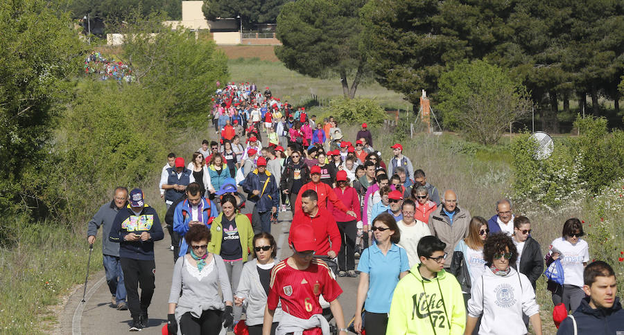 XXXIX edición de la Marcha de Asprona (2/2)