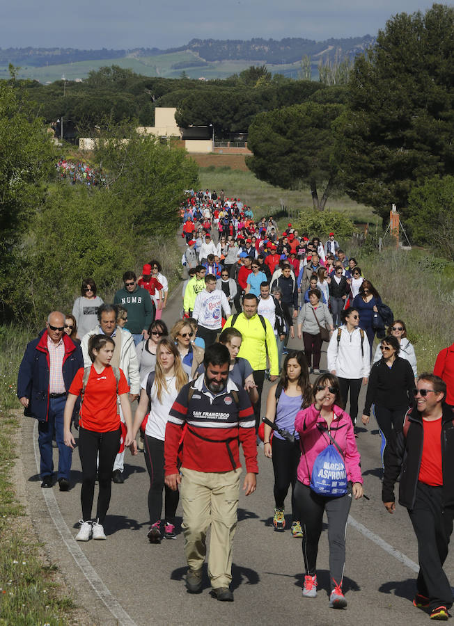 XXXIX edición de la Marcha de Asprona (2/2)