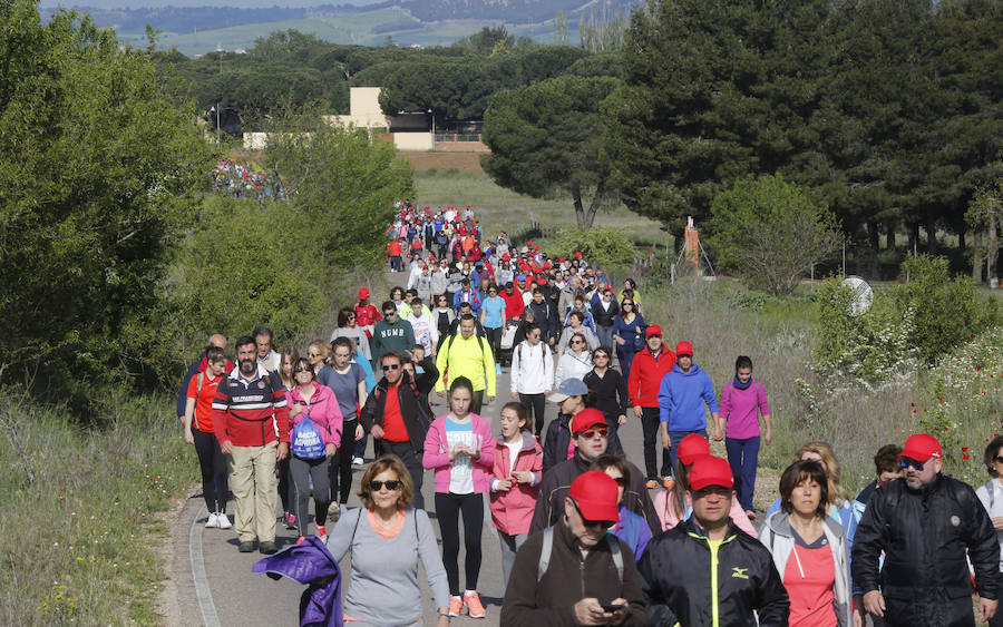 XXXIX edición de la Marcha de Asprona (2/2)