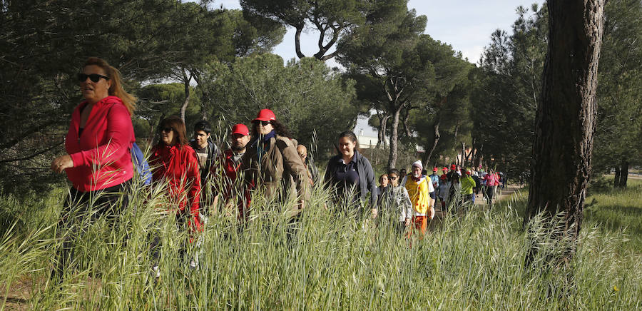XXXIX edición de la Marcha de Asprona (1/2)