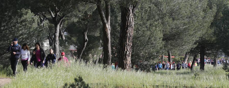 XXXIX edición de la Marcha de Asprona (1/2)