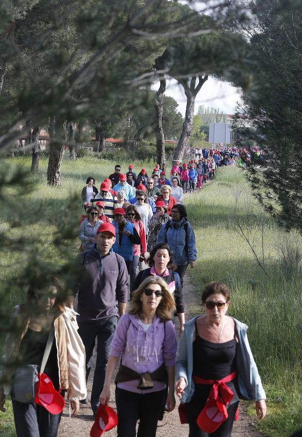 XXXIX edición de la Marcha de Asprona (1/2)