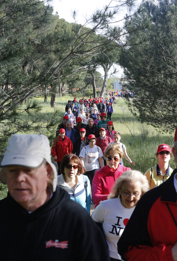 XXXIX edición de la Marcha de Asprona (1/2)