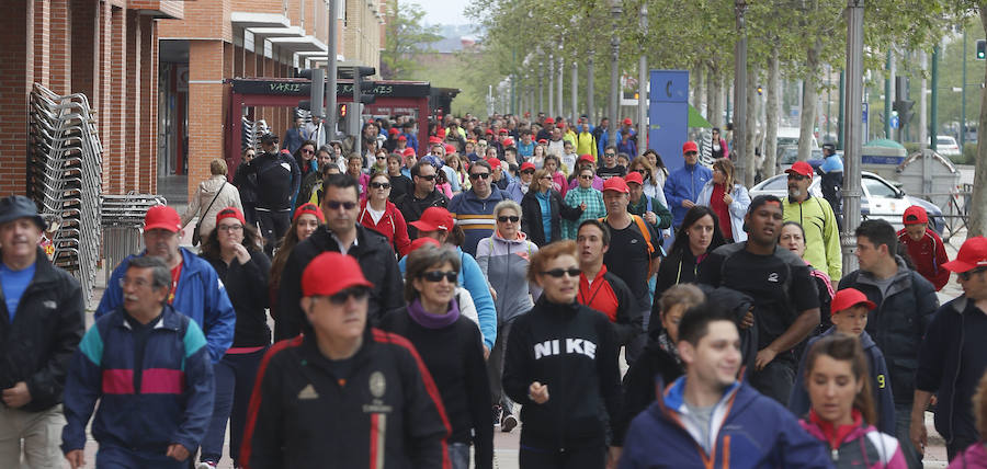 XXXIX edición de la Marcha de Asprona (1/2)