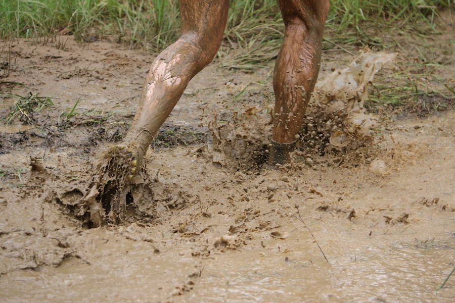 Farinato Race Cervantina en León
