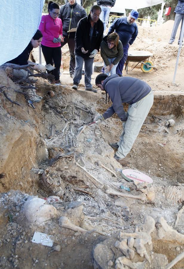 Trabajos de exhumación en una fosa común del Cementerio de El Carmen