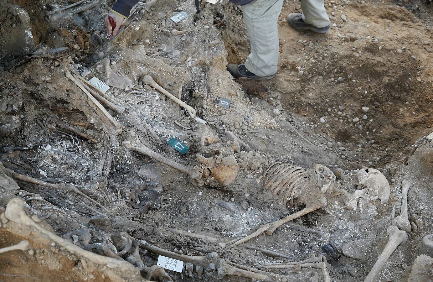 Trabajos de exhumación en una fosa común del Cementerio de El Carmen