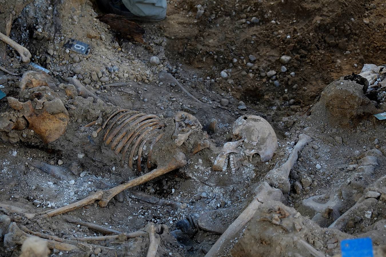 Trabajos de exhumación en una fosa común del Cementerio de El Carmen