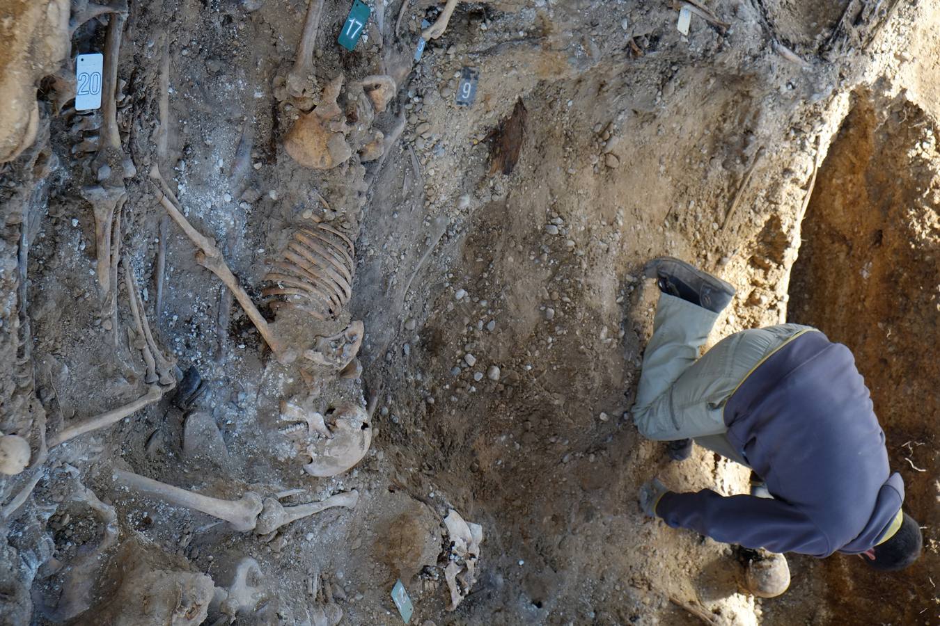 Trabajos de exhumación en una fosa común del Cementerio de El Carmen