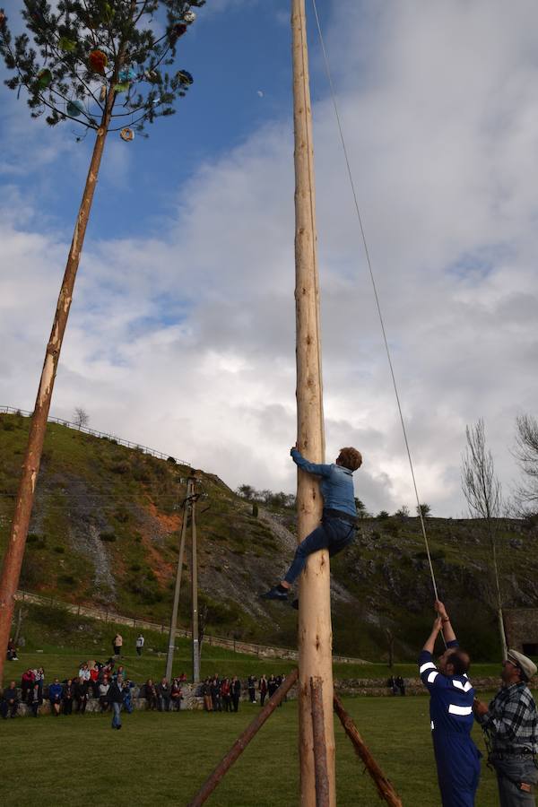 Velilla pina el mayo