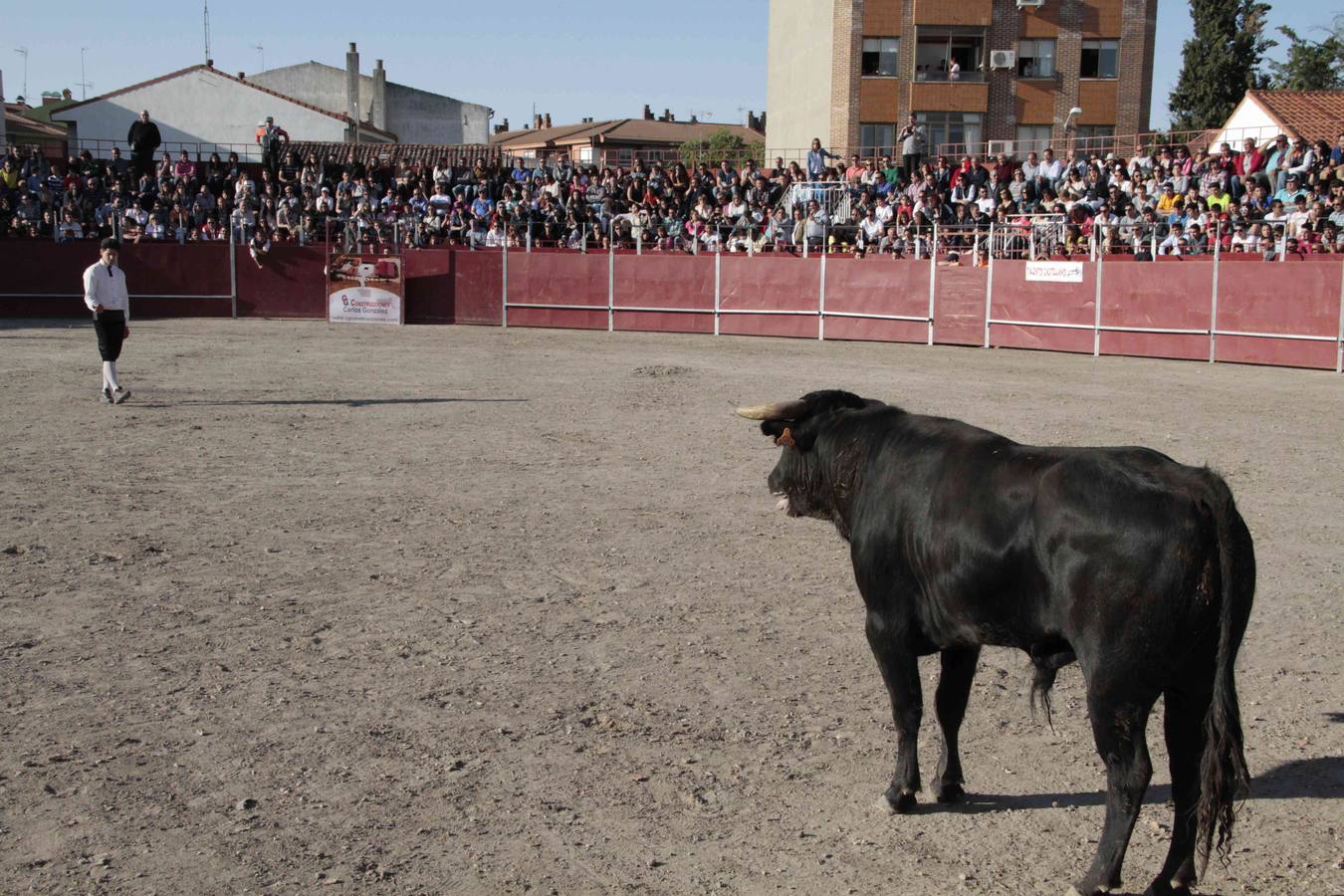 Primer concurso de cortes del Milenario de Peñafiel (1/2)