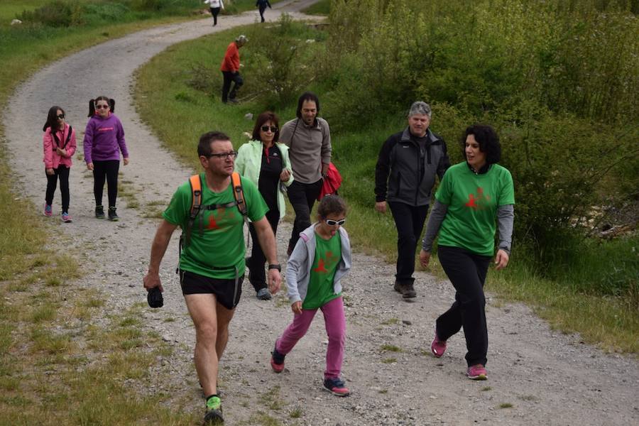 Marcha Adecas en Guardo