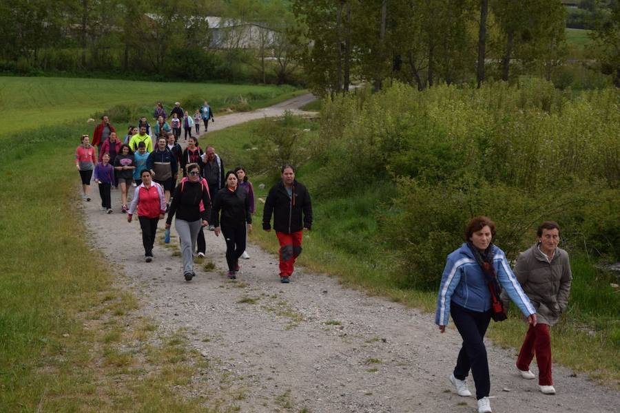 Marcha Adecas en Guardo