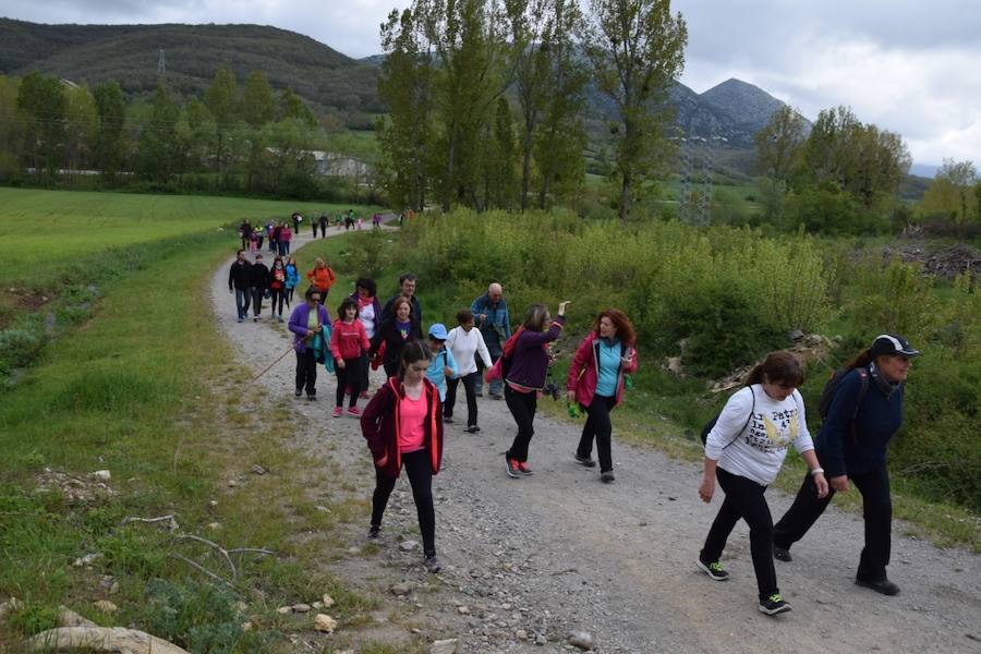 Marcha Adecas en Guardo