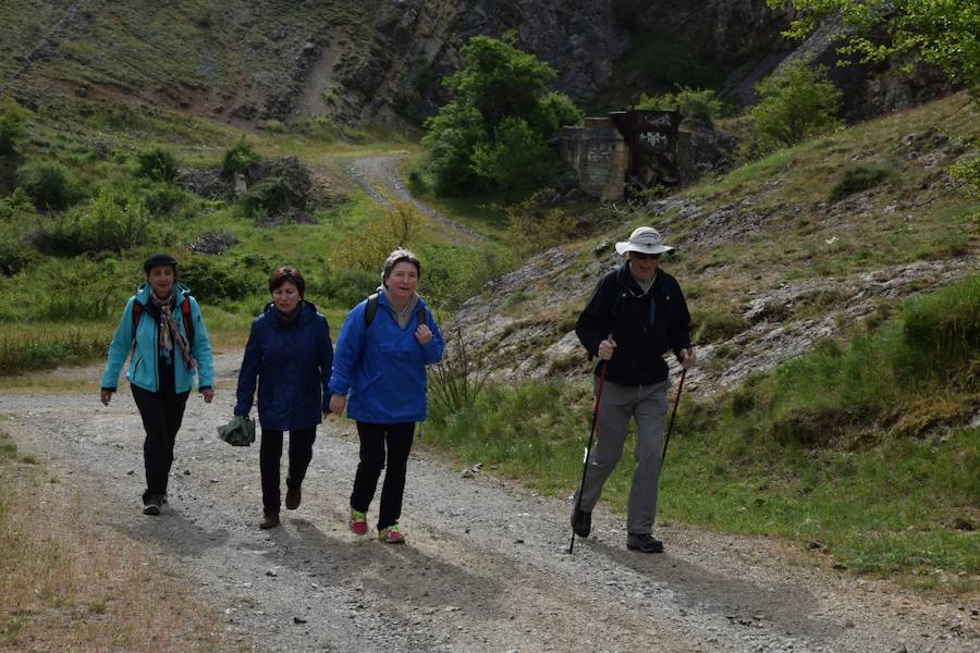 Marcha Adecas en Guardo