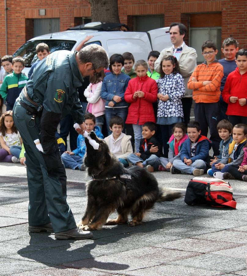 Exhibición de medios de la Guardia Civil en el colegio Santa Clara de Cuéllar