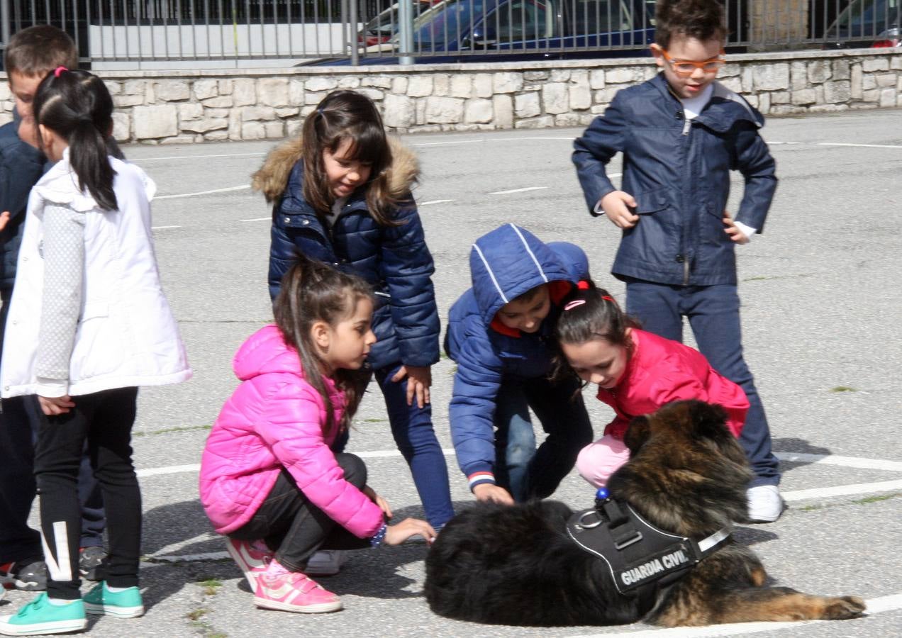 Exhibición de medios de la Guardia Civil en el colegio Santa Clara de Cuéllar