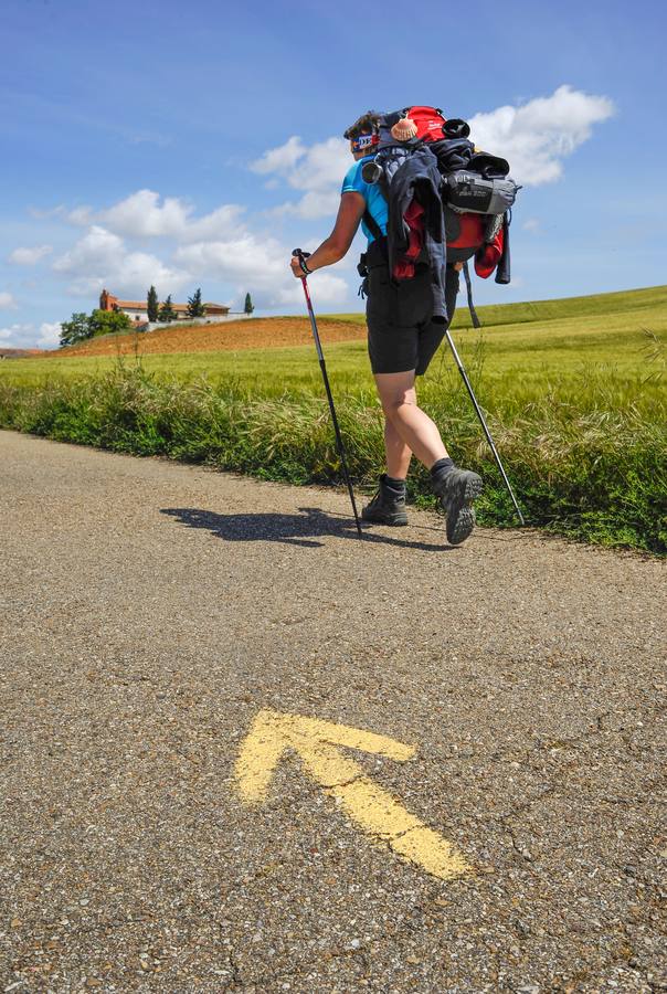 Las flechas amarillas señalizan la ruta.