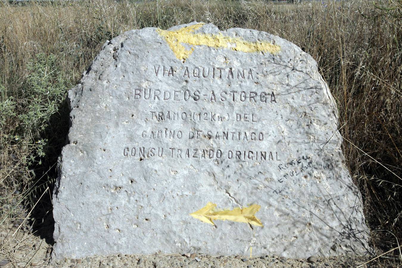 Vía Aquitania del Camino de Santiago, entre Carrión de los Condes y Calzadilla de la Cueza.