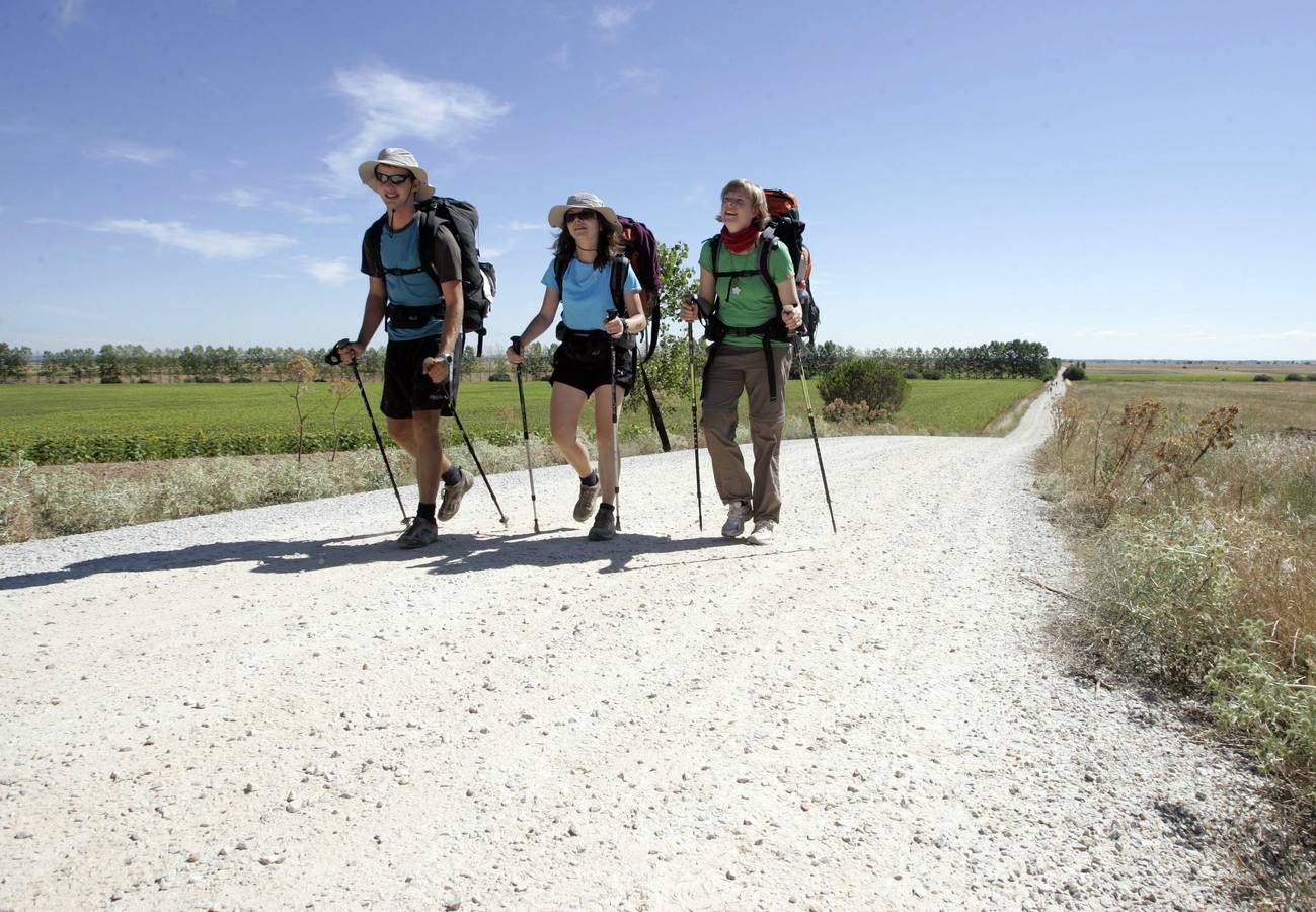 Vía Aquitania del Camino de Santiago, entre Carrión de los Condes y Calzadilla de la Cueza.