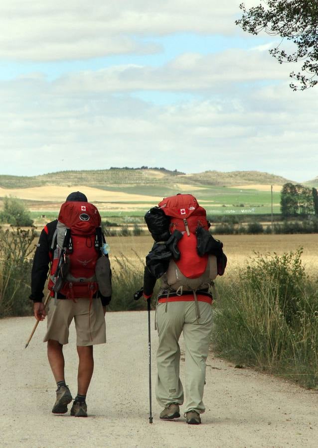 Peregrinos llegando a la provincia de Palencia en Itero de la Vega tras cruzar Puente Fitero en el límite de Burgos con Palencia.