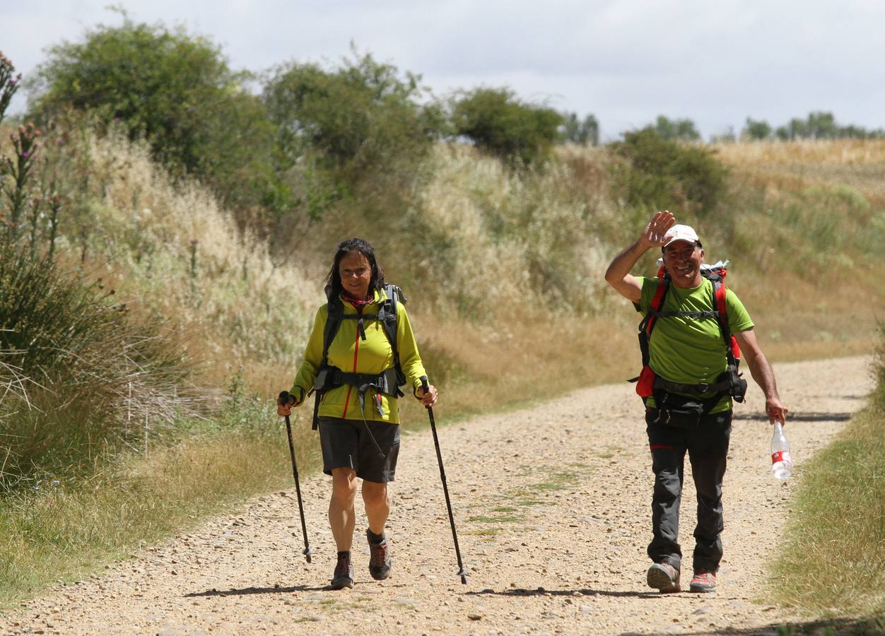 Peregrinos entre Itero de la Vega y Boadilla del Camino.