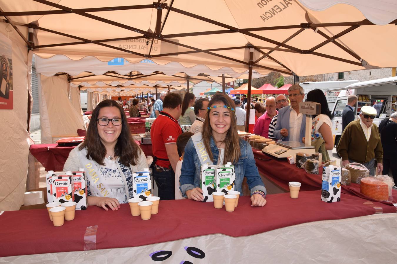 Fiestas de San Antonio en Guardo (Palencia)