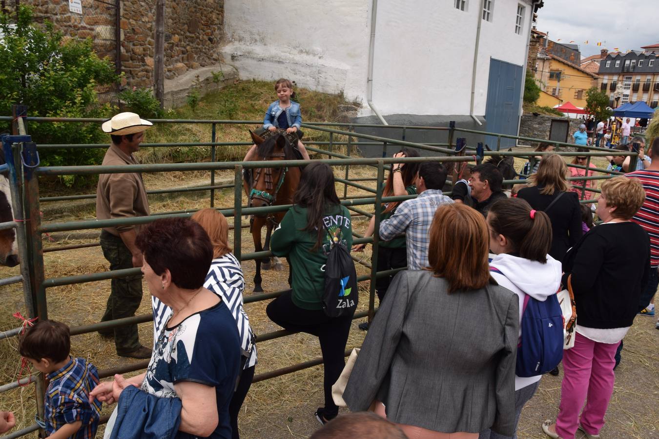 Fiestas de San Antonio en Guardo (Palencia)