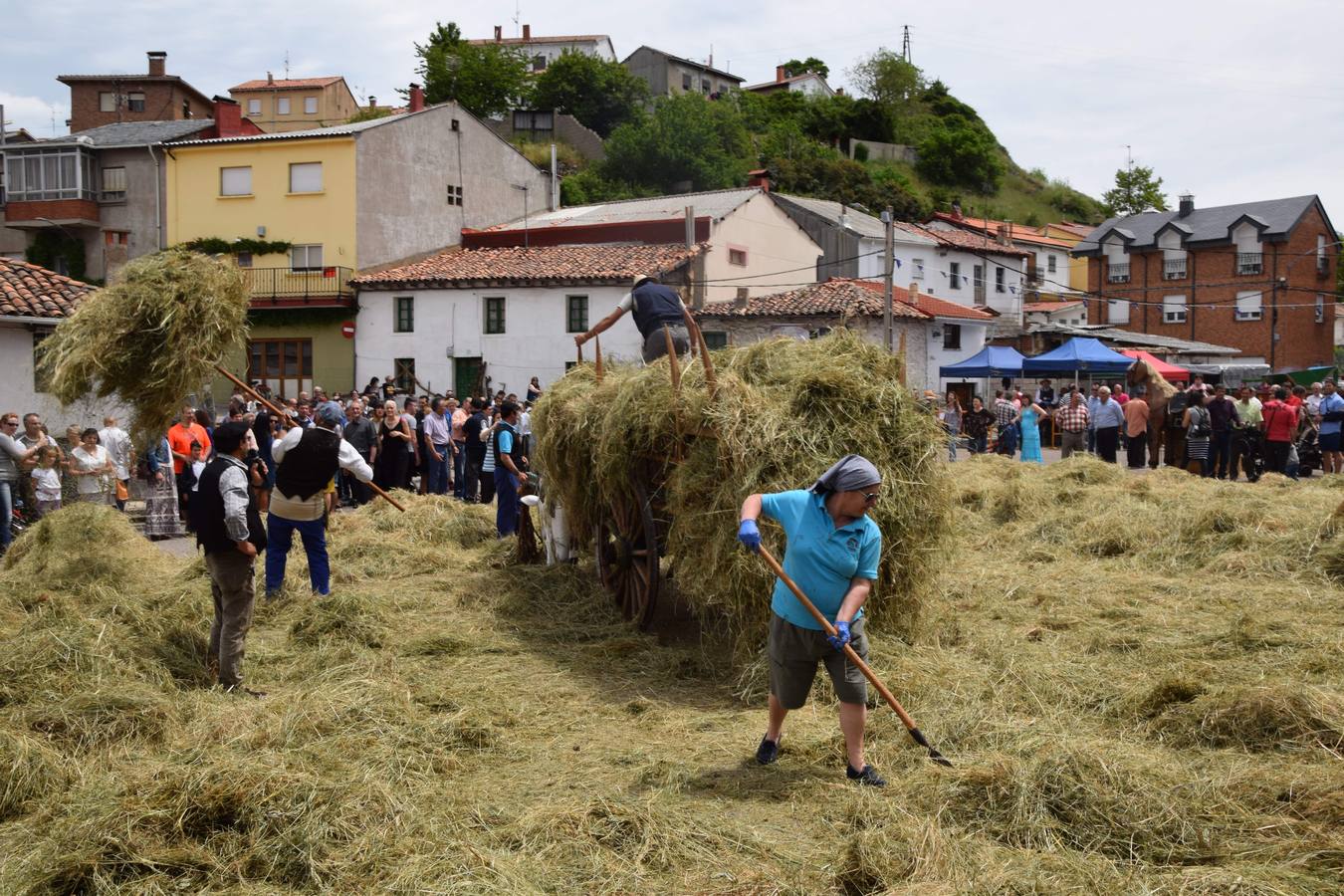 Fiestas de San Antonio en Guardo (Palencia)