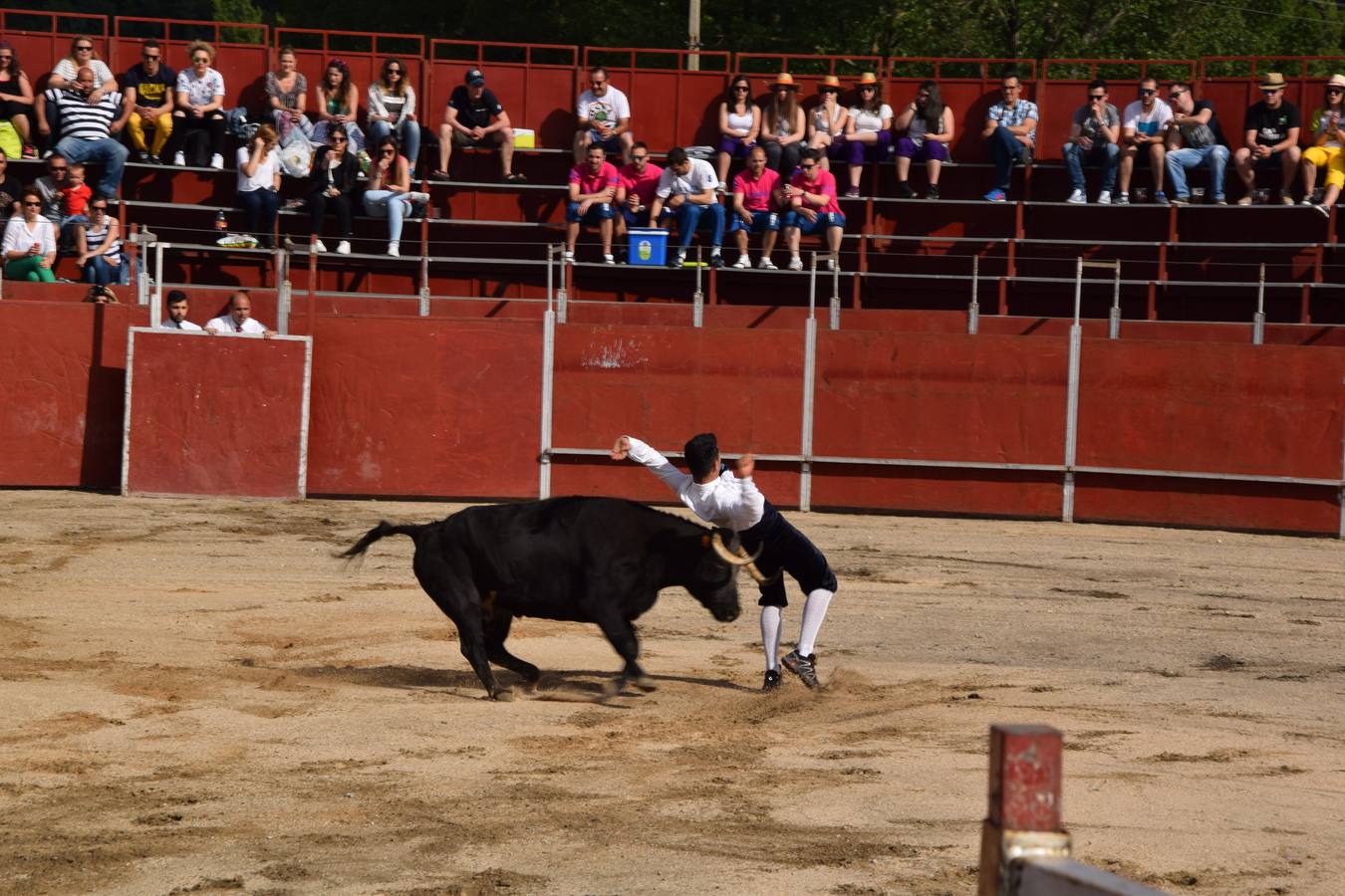 Espectáculo de recortes en las fiestas de Guardo