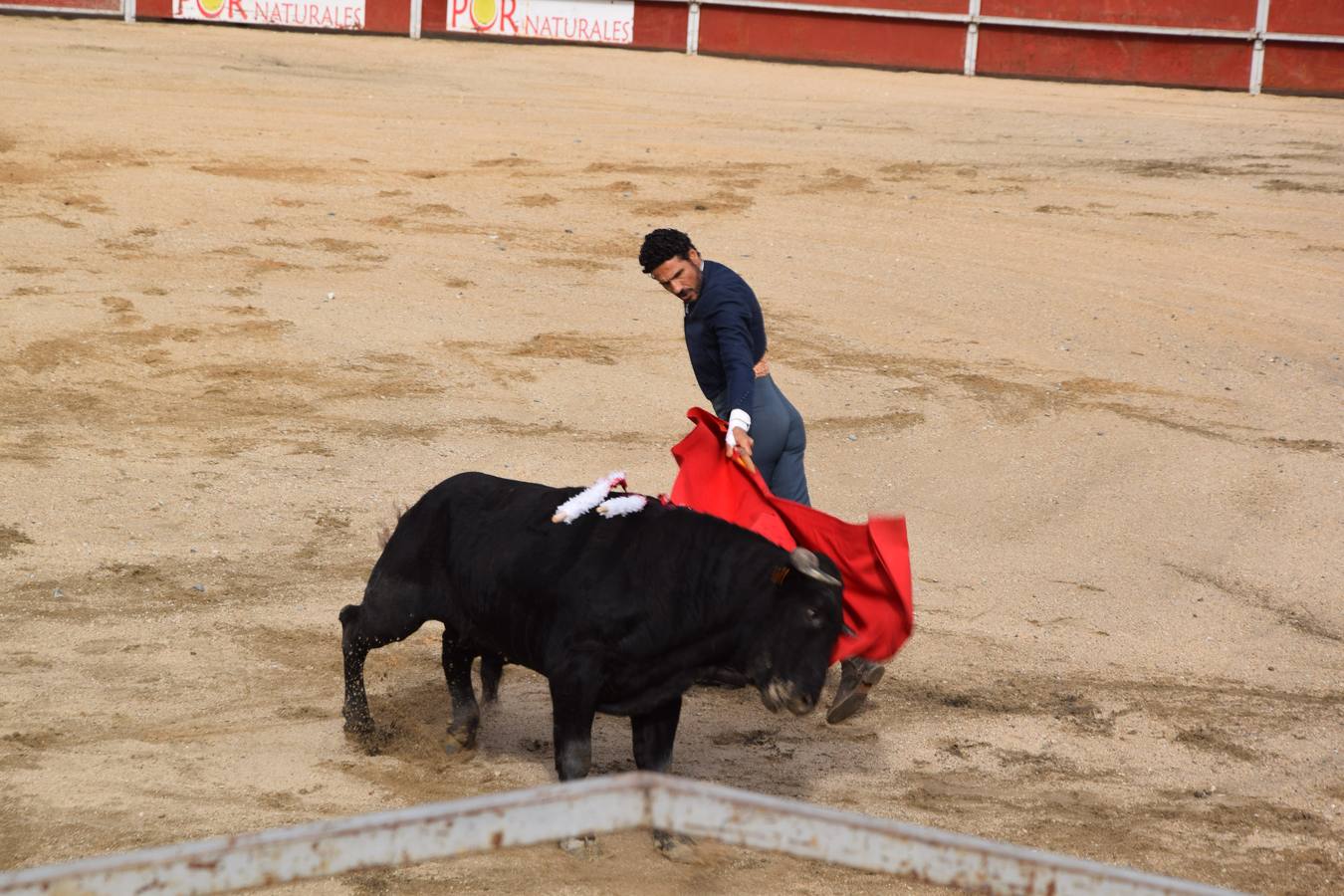 Tarde de toros en las fiestas de Guardo