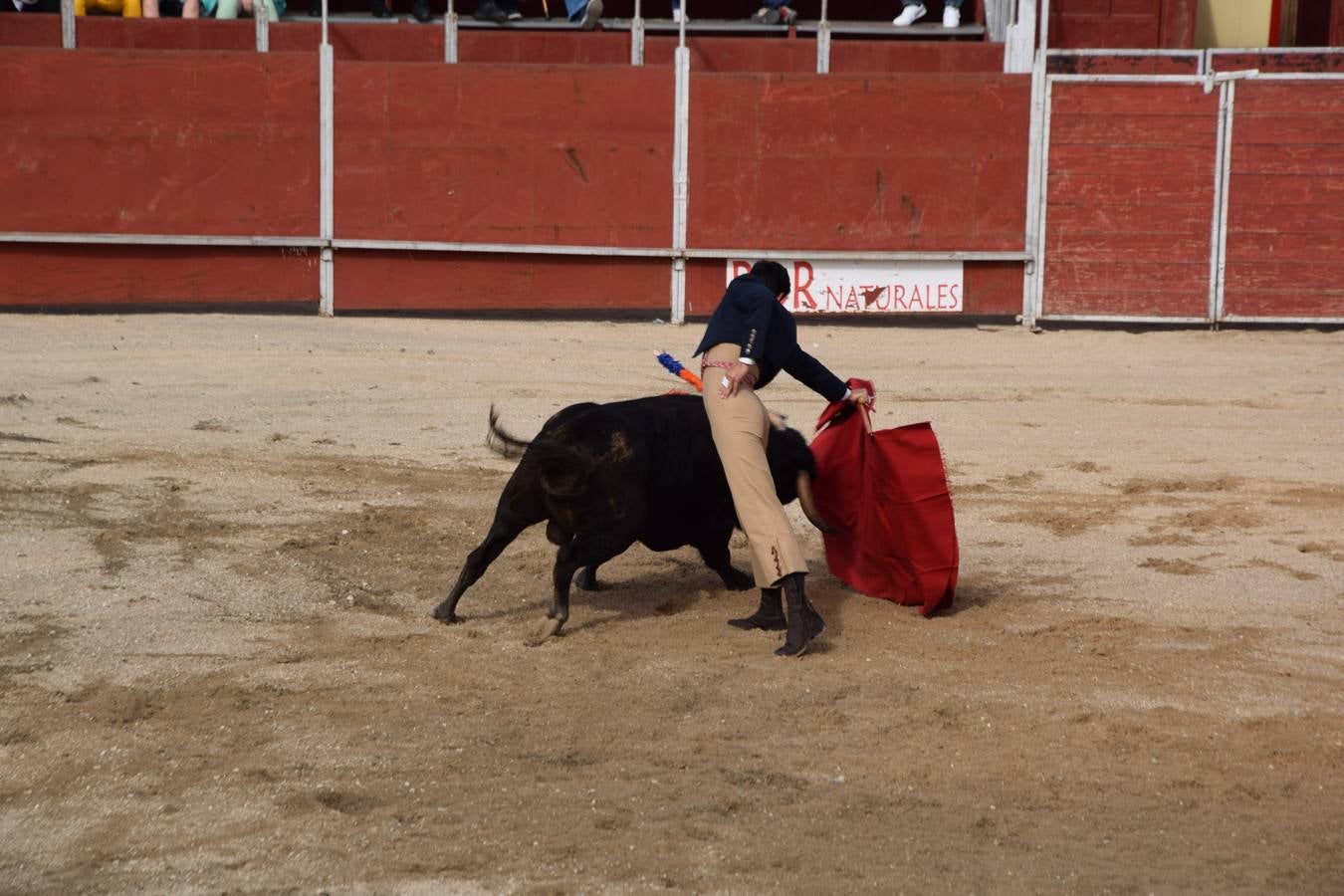 Tarde de toros en las fiestas de Guardo