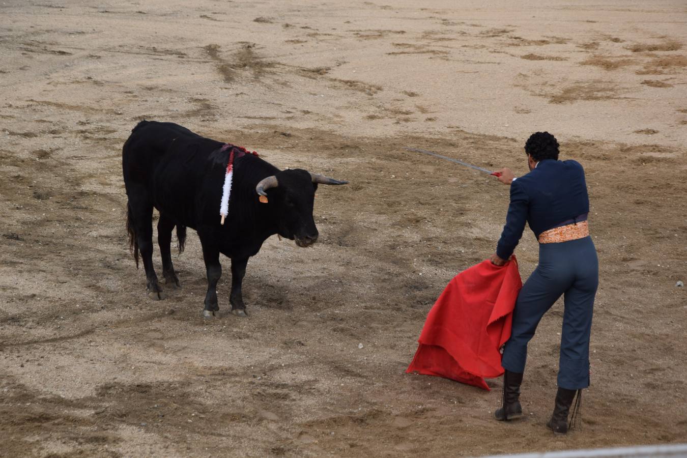 Tarde de toros en las fiestas de Guardo