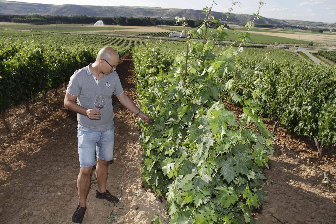 La Bodega Cepa 21 abre sus puertas al Club de Catas de El Norte de Castilla (1/2)