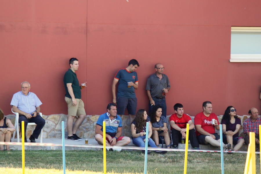 Exhibición canina en Hornillos (Palencia)